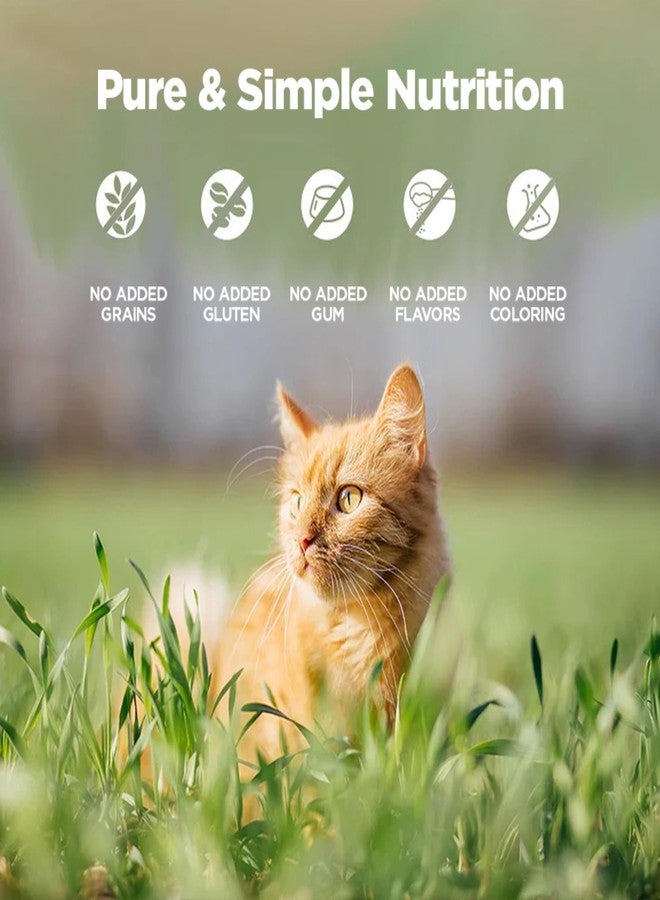ZEAL New Zealand Wet Cat Food – High Protein, Grain-Free with Superfoods (Chicken & Salmon, 6oz Can, 12-Pack) - Image 4